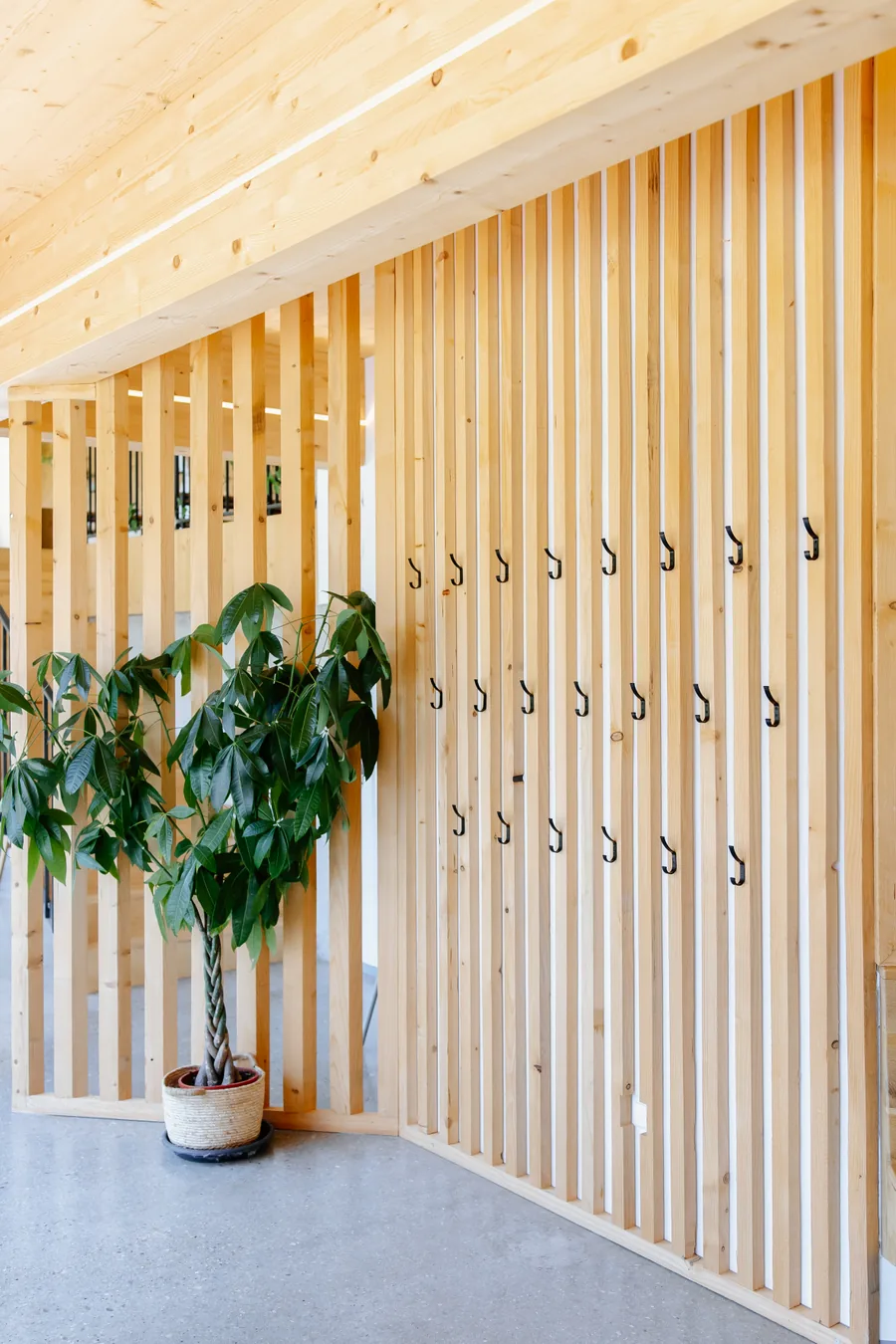 Holzlamellen-Wand mit Garderobe und Zimmerpflanze